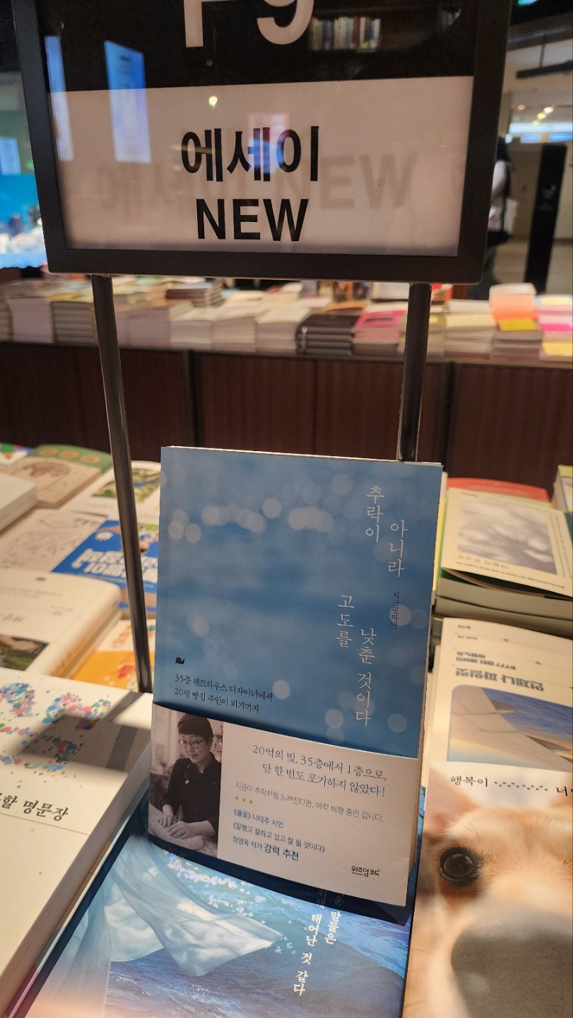 교보문고 NEW 코너